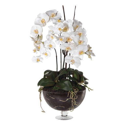 White Orchid Phalaenopsis in Glass Bowl
